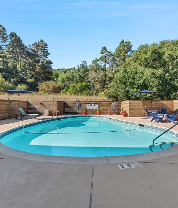 Swimming pool at Hillside Garden in San Mateo in San Mateo, California 