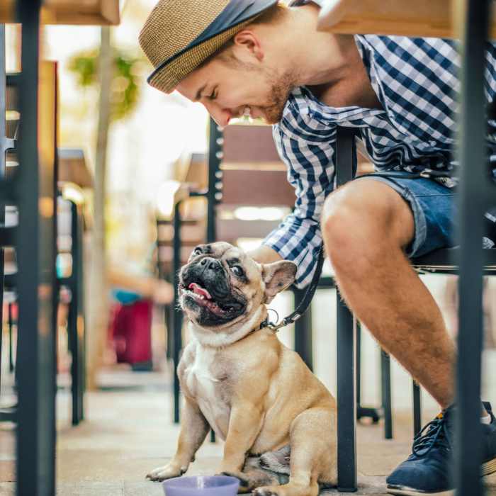 Pet-friendly at Attain on 5th, Charlottesville, Virginia