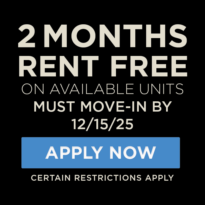 type in your special