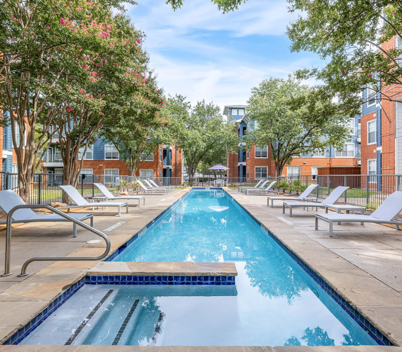 Lap pool with modern lounge chairs at Marquis on Gaston in Dallas, Texas