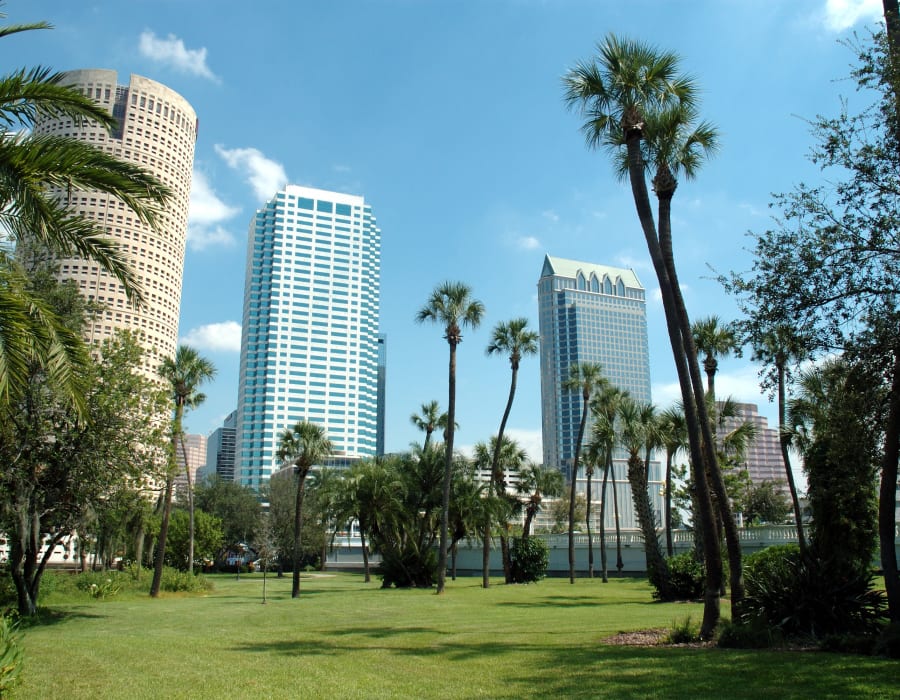 Palm trees and high-rise buildings downtown near Sage at Cypress Cay in Lutz, Florida