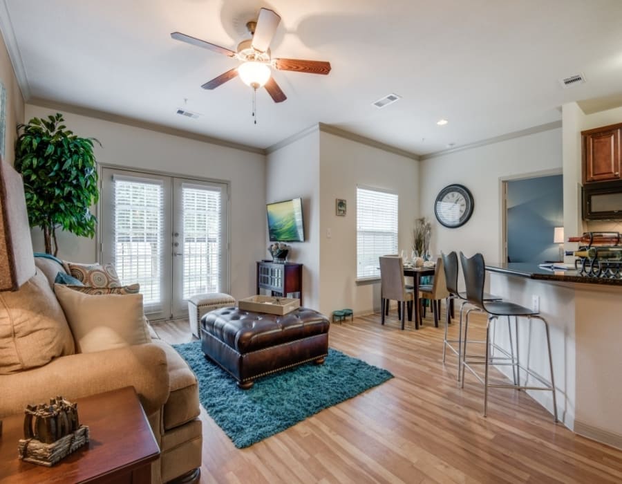 Apartment living room at Lookout Hollow in Selma, Texas