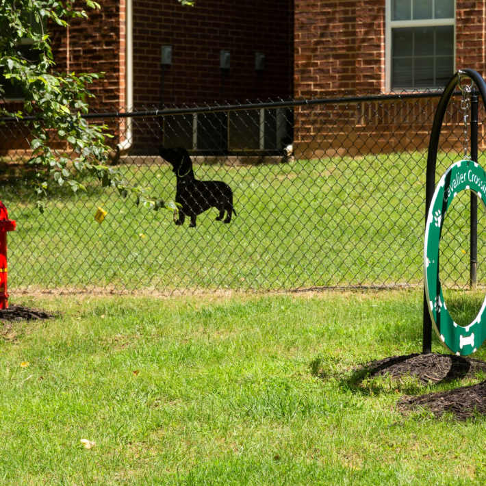 Dog park at Attain on 5th in Charlottesville, Virginia