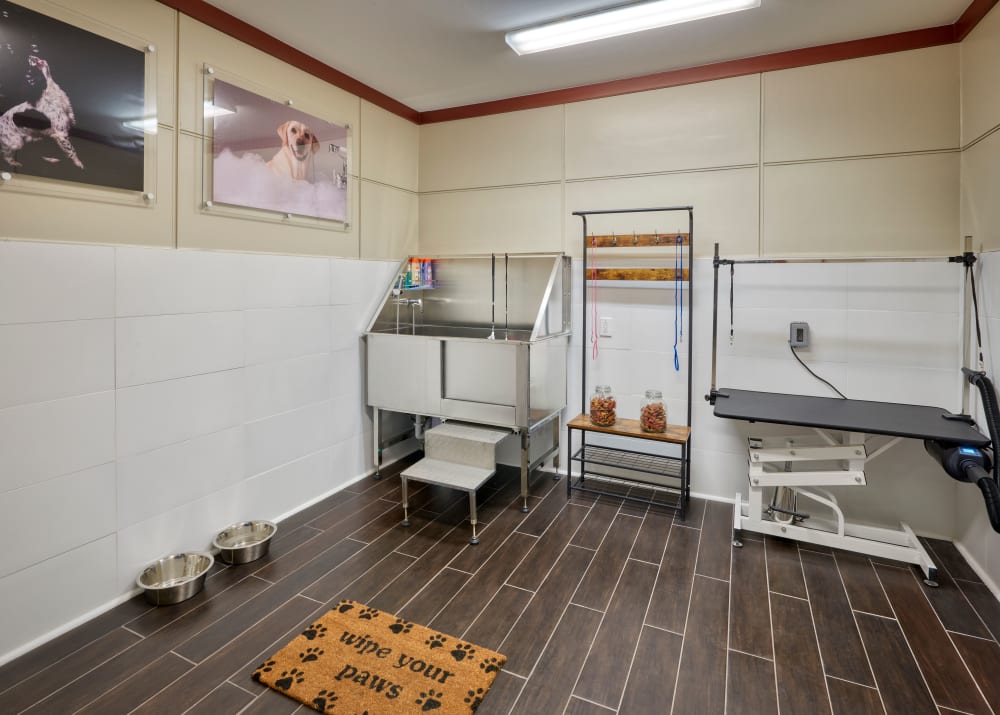 Dog Wash at M2 Apartments in Denver,CO