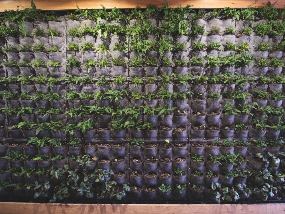 Plant walls providing additional fresh air to common areas at Brooklyn Yard in Portland, Oregon