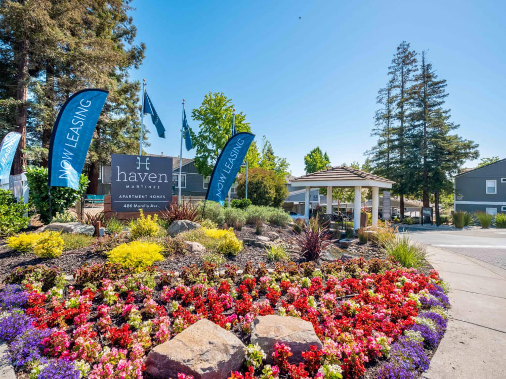 Peaceful stream and professionally maintained landscaping between resident buildings at Haven Martinez in Martinez, California