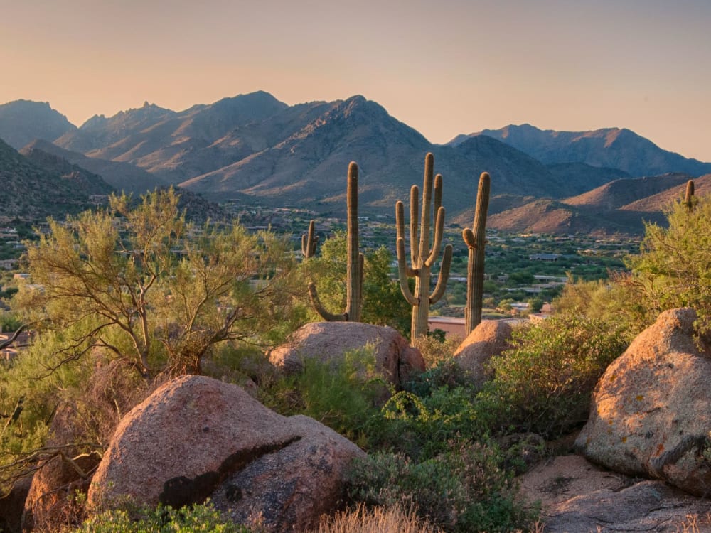 Incredible hiking and nature not far from your home at Elite North Scottsdale in Scottsdale, Arizona