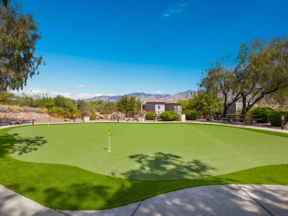 Putting green at The Golf Villas at Oro Valley in Tucson, Arizona