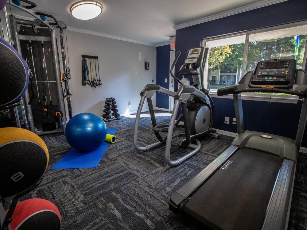 A treadmills and medicine balls in the fitness center at Pinewood Station in Hillsborough, North Carolina