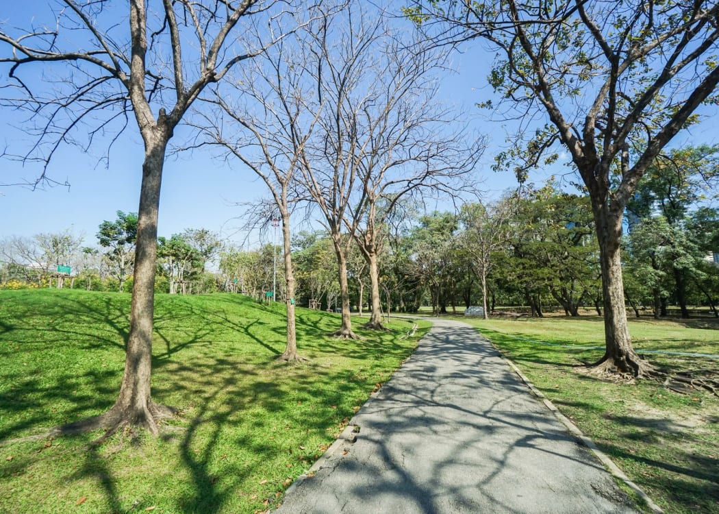 Trees of Gainesville is near outdoor activities
