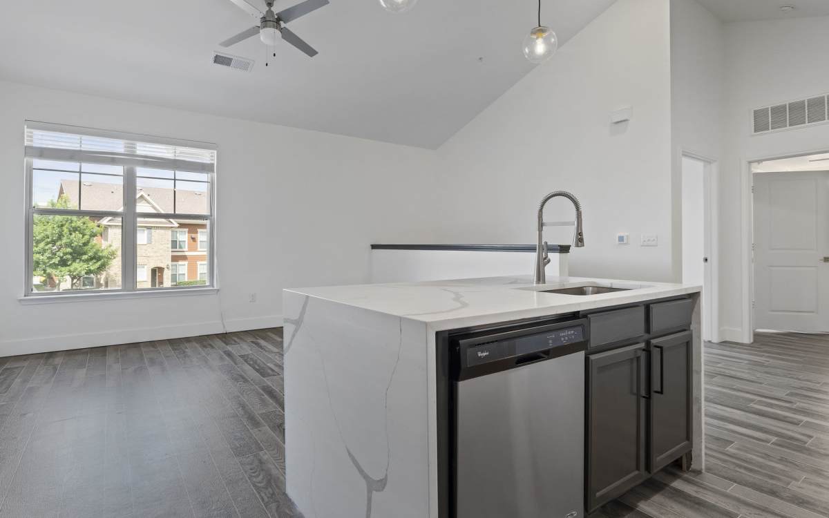 Kitchen with dishwasher at Ashwood in Pflugerville, Texas