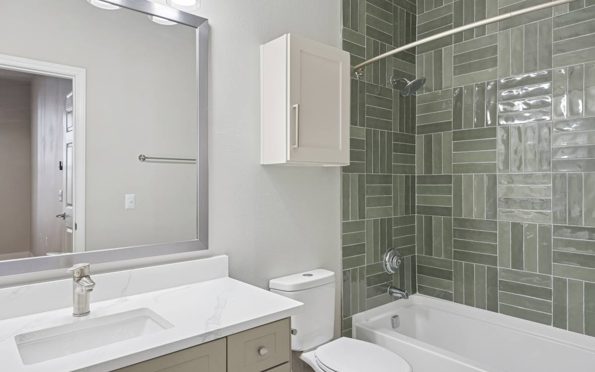  Camellia in Raleigh, North Carolina