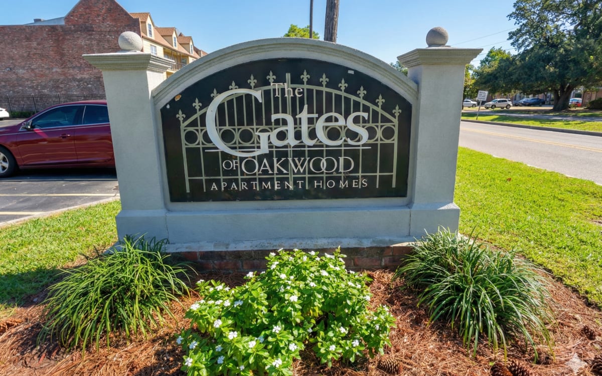 Resident walking through a park nea