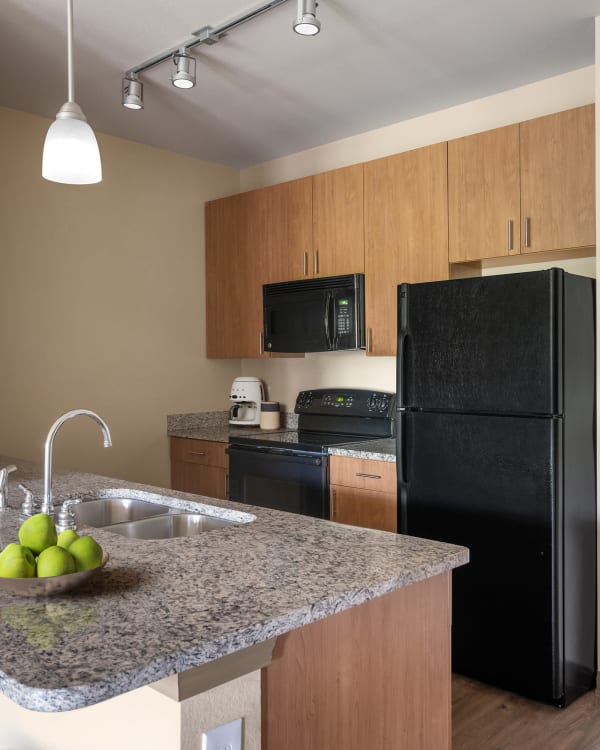 Fully equipped kitchen at The Addison at South Tryon in Charlotte, North Carolina