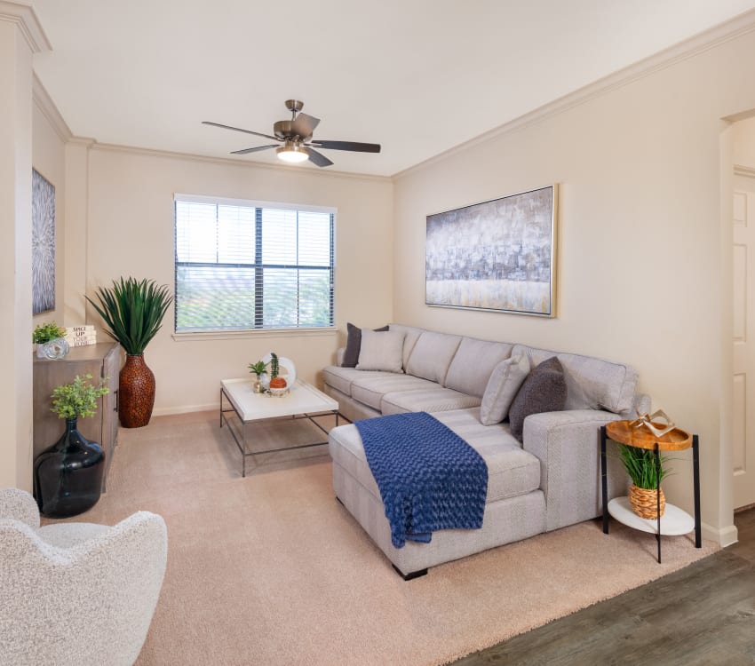 Cozy living room with natural light at Las Colinas at Black Canyon in Phoenix