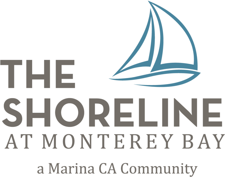The Shoreline at Monterey Bay
