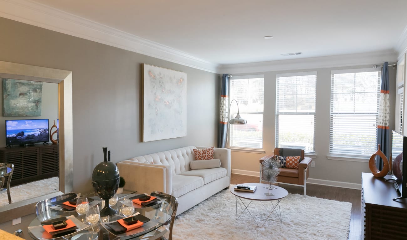 Living room with natural lighting at Regency Johns Creek Walk in Johns Creek, Georgia
