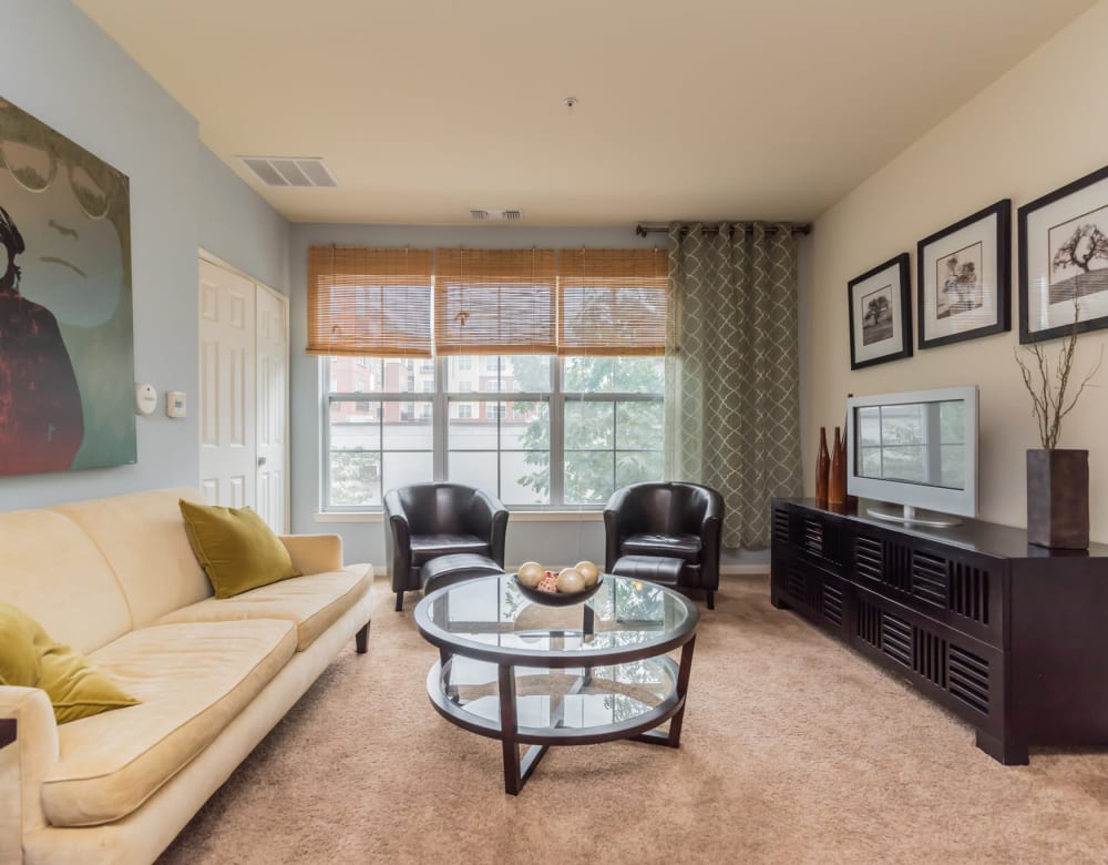 Westville Village Apartments offers a Living Room in New Haven, Connecticut