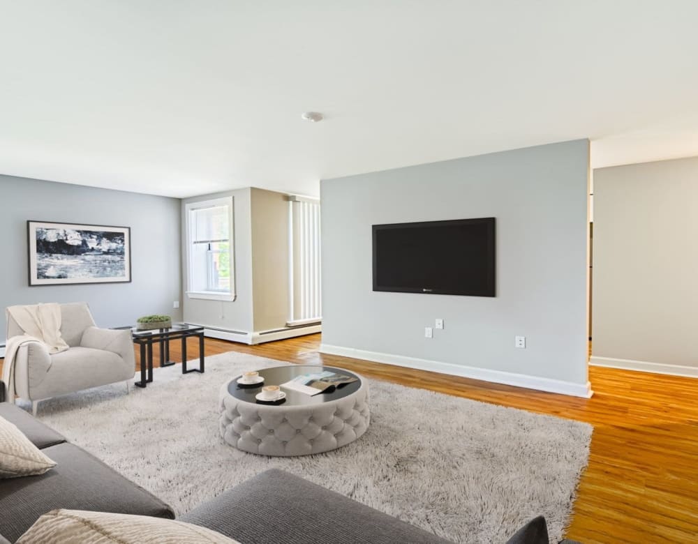 Living room with large shag carpet at Eagle Rock Apartments & Townhomes at Brighton in Brighton, Massachusetts