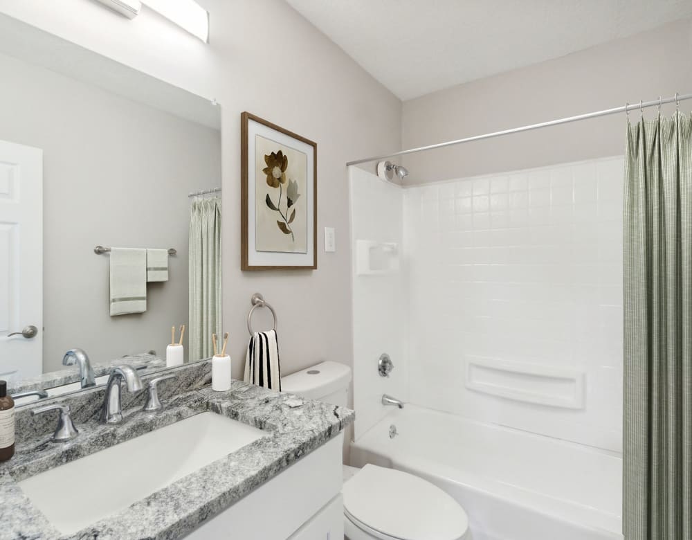 toilet and bath at Eagle Rock Apartments at Framingham in Framingham, Massachusetts