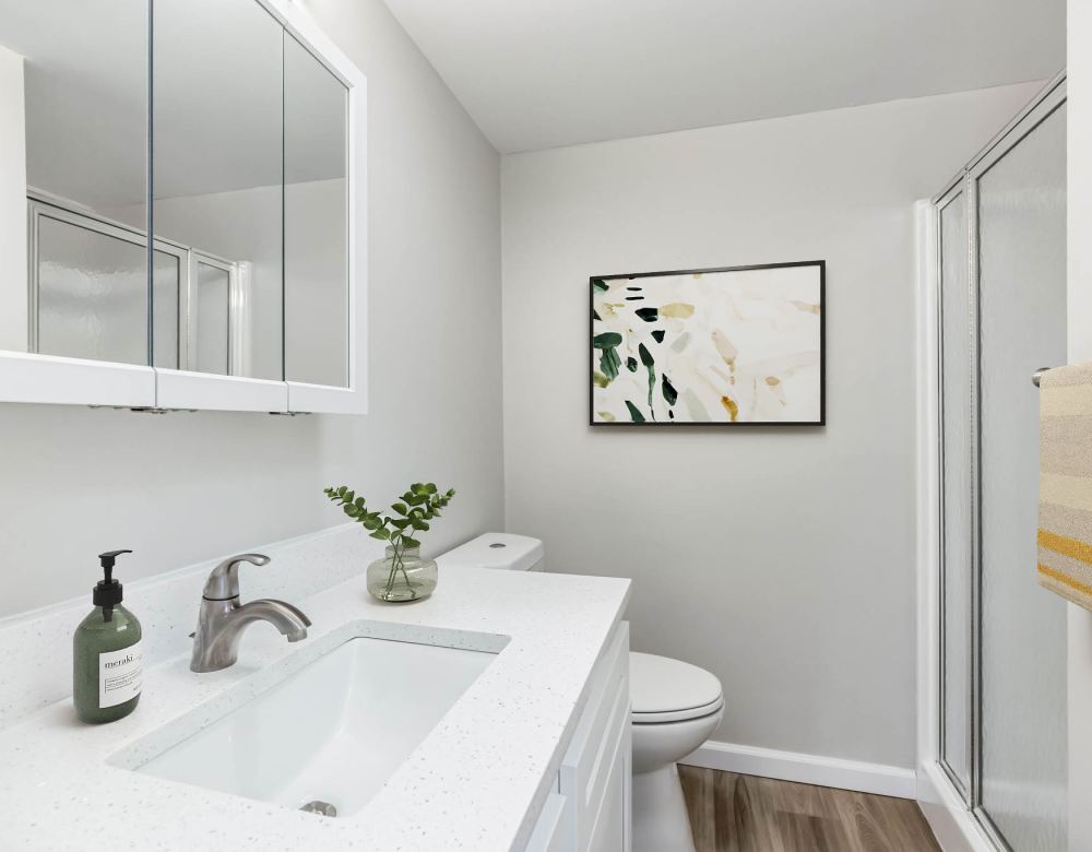 Renovated bathroom at Eagle Rock Apartments at Mohegan Lake in Mohegan Lake, New York