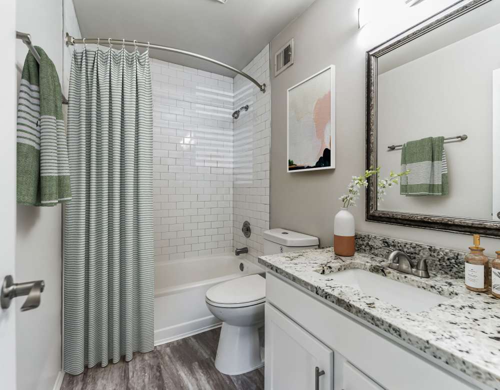 Bathroom at Eagle Rock Apartments at Columbia in Columbia, Maryland