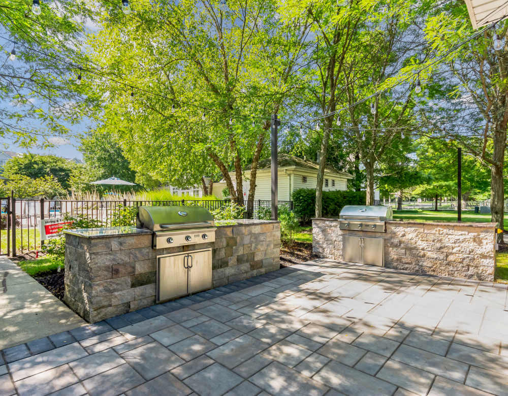 Grill and picnic area at Eagle Rock Apartments at Freehold in Freehold, New Jersey