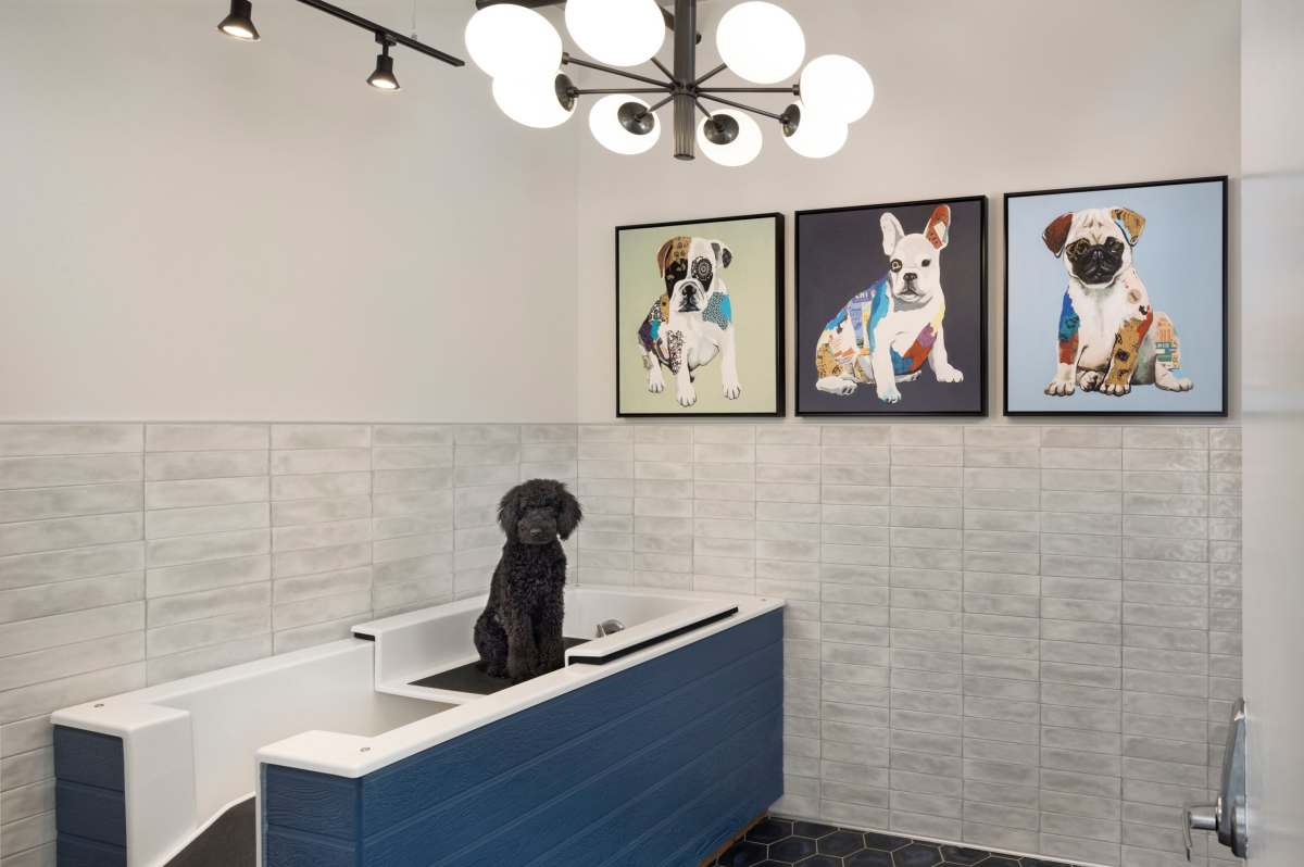 Pet spa at RainDance in Winter Haven, Florida 