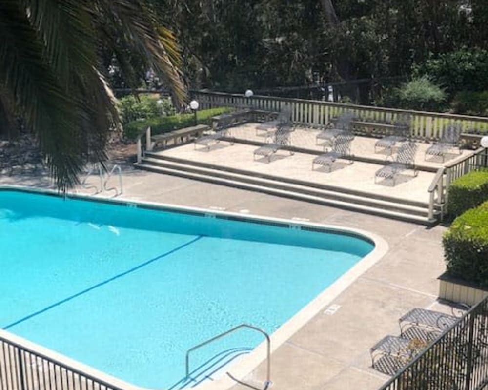 Swimming pool and deck at 225 Clifton in Oakland, California
