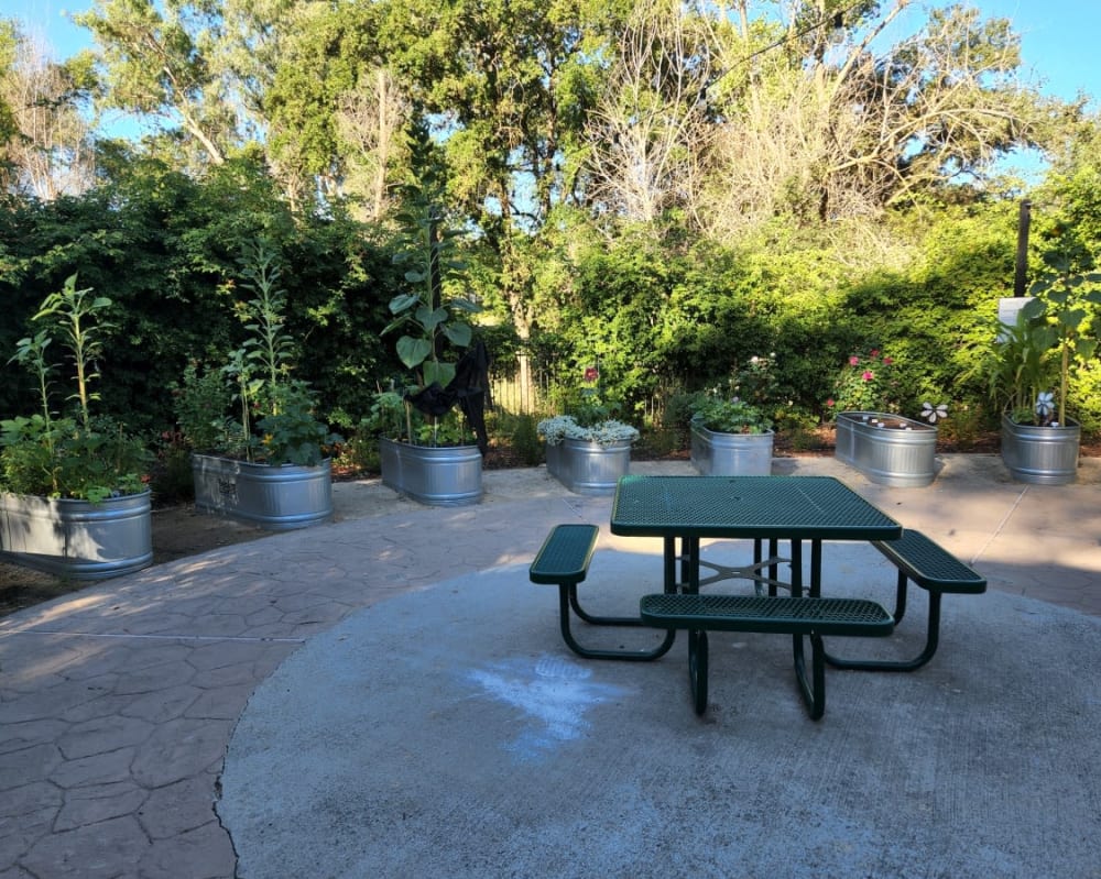 Picnic table at Copper Creek in Sacramento, California