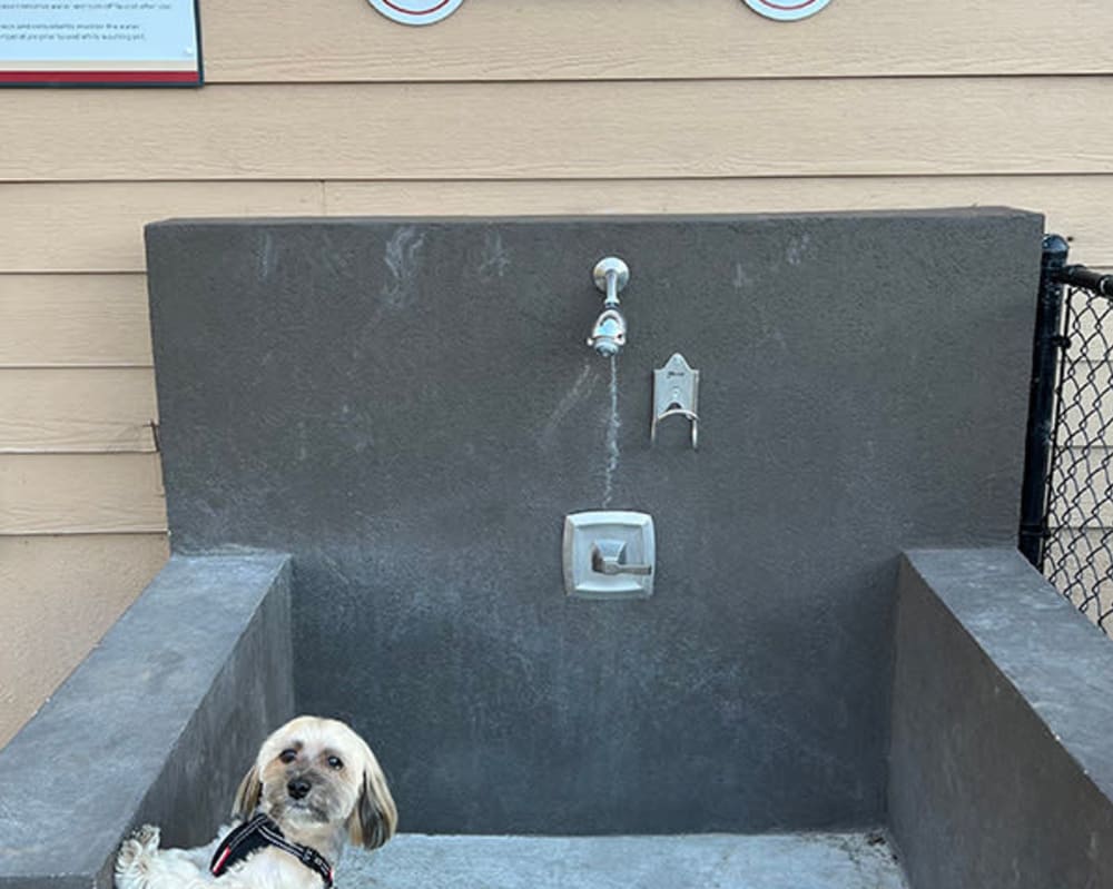 Pet-Wash Station at Copper Creek in Sacramento, California