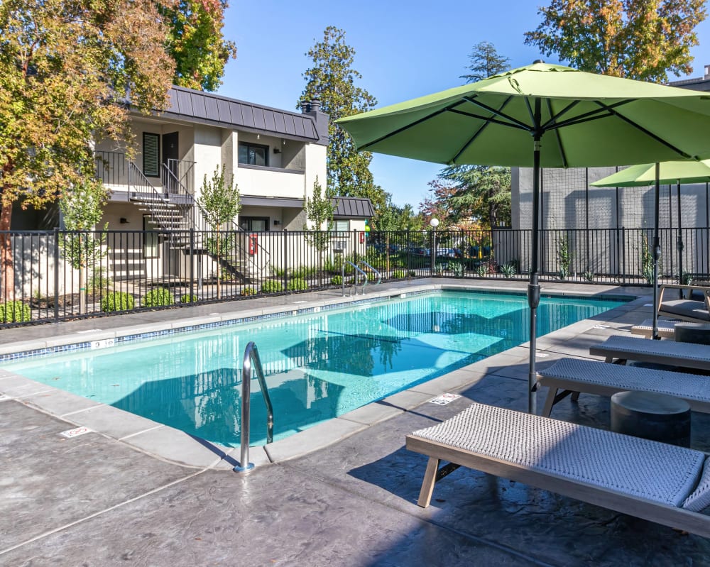 Swimming pool with shaded lounge chairs at Terra Vida in Carmichael, California