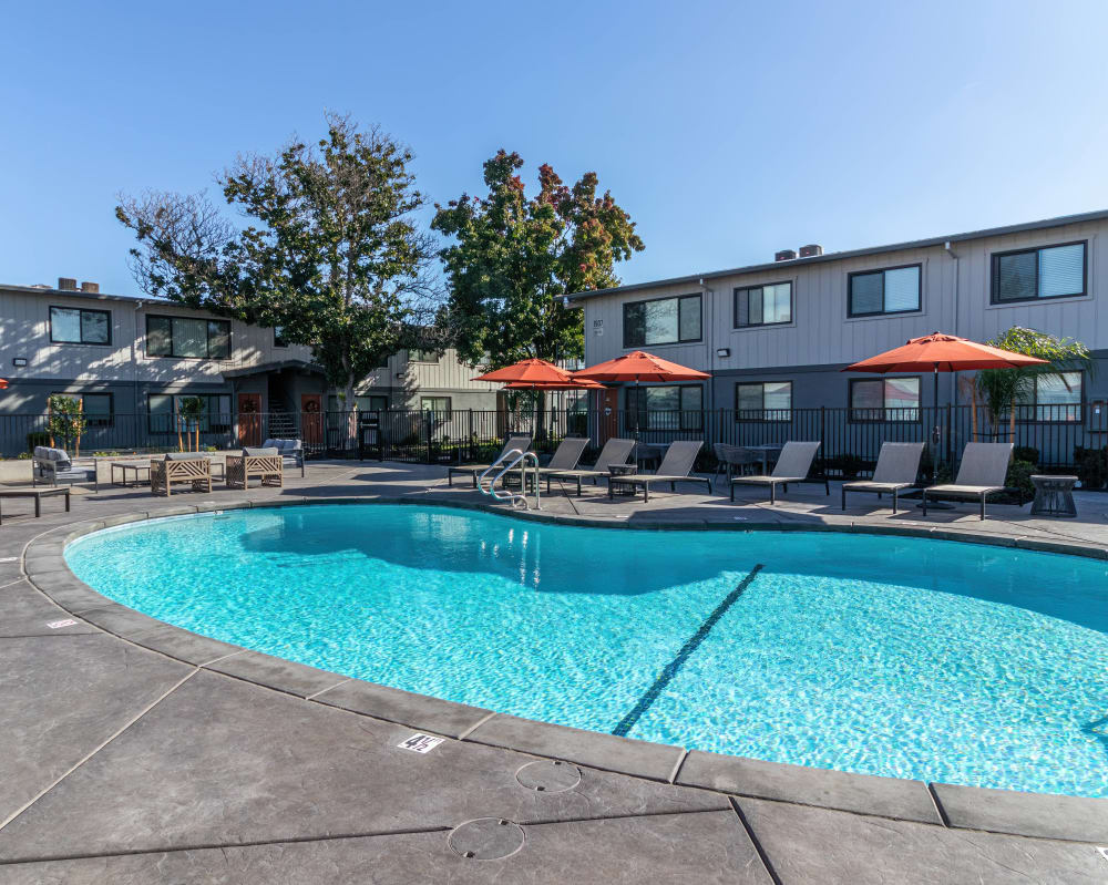 Sparkling swimming pool at Mode in Sacramento, California