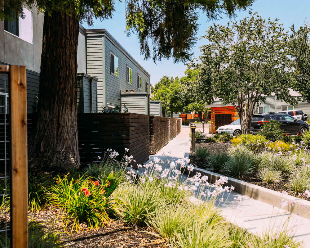 Path and foliage outside of Waterstone Terrace in Benicia, California
