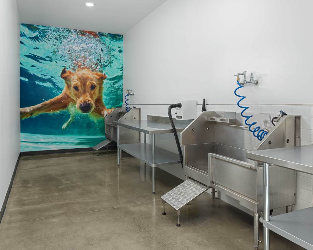 Apartments For Rent In Napa, CA - SoCo Apartments - Pet Spa With Washing Stations, Blow Dryer, And Tables