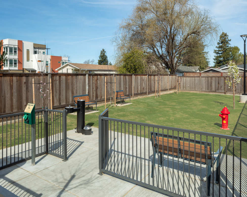 Pet parking at SoCo Apartments in Napa, California
