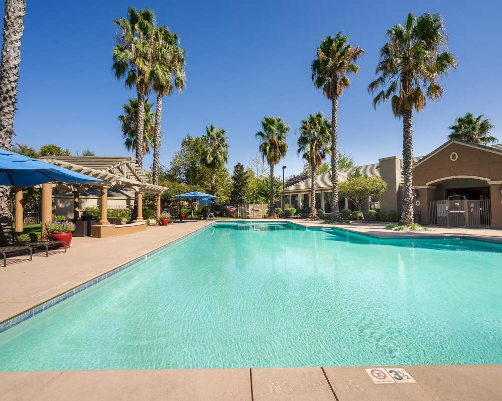 Swimming pool at Ashton Parc in Sacramento, California