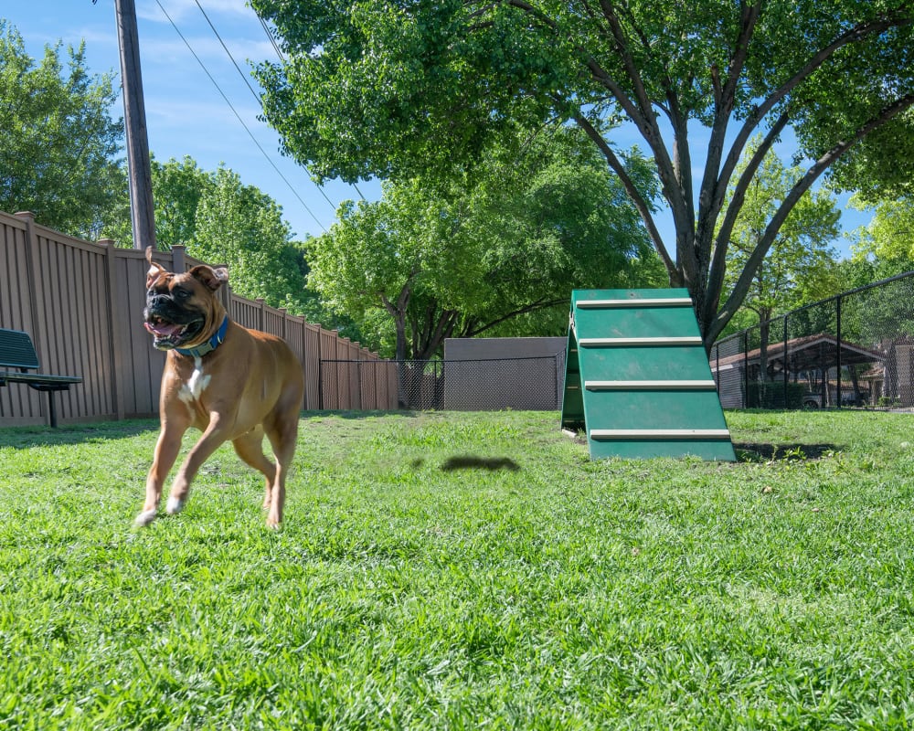 Dog Park at Rancho Palisades in Dallas, Texas