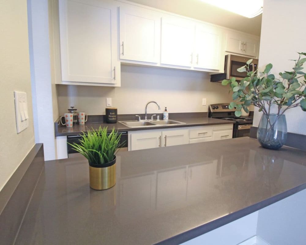 Stainless-steel appliances in model home at The Davenport in Sacramento, California