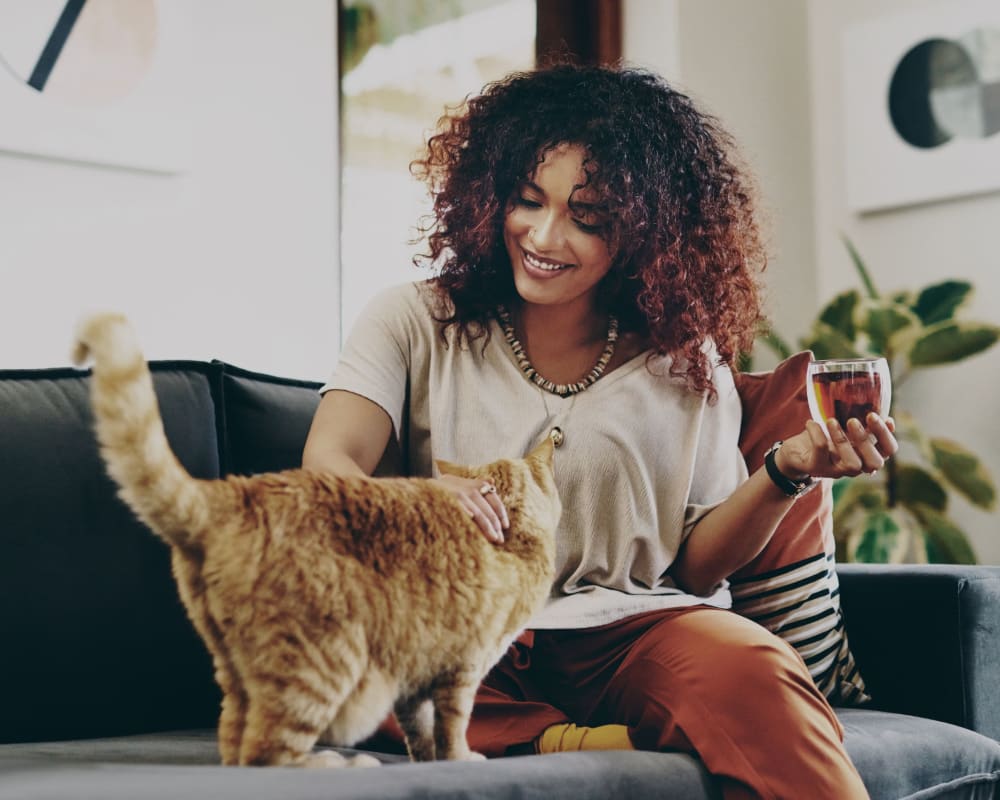 Resident petting her cat and drinking some wine at Carsonia Manor in Reading, Pennsylvania