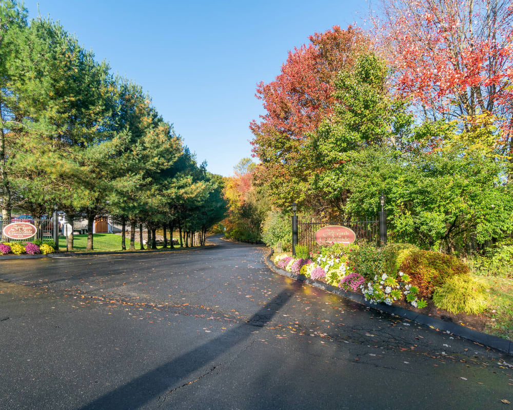 Driveway into The Hearth at Gardenside lined with beautiful and bright trees in Branford, Connecticut