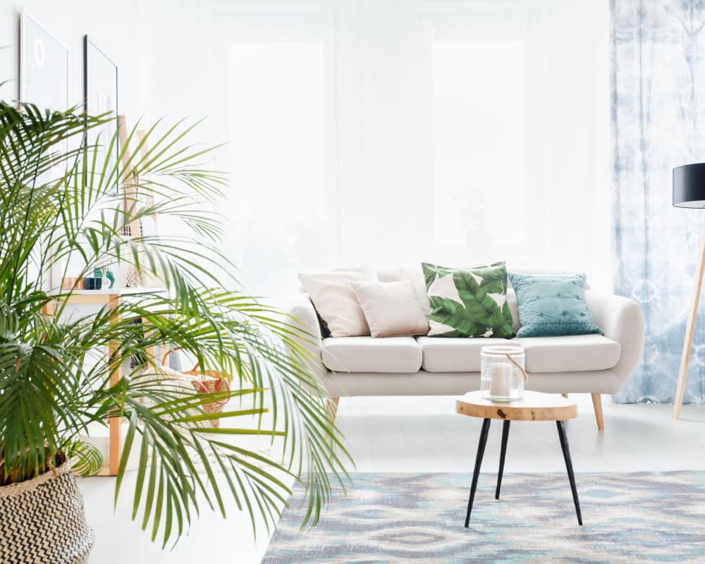 Spacious living room at Gull Harbor Apartments in New London, Connecticut