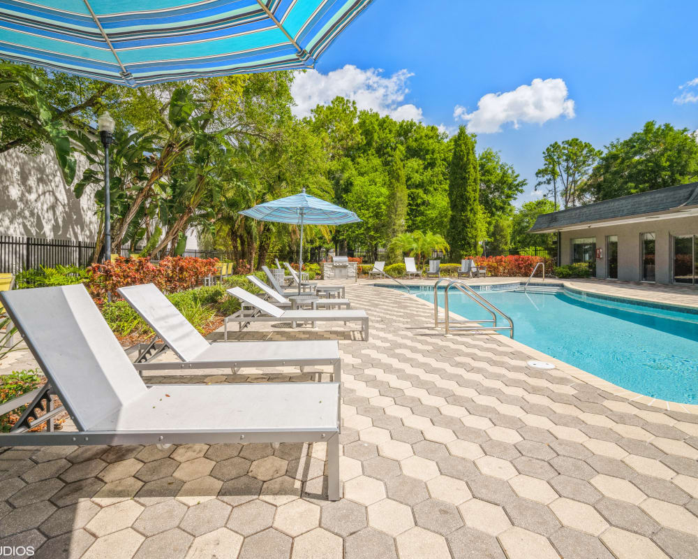 An outdoor oasis with a swimming pool near Grove at Temple Terrace in Temple Terrace, Florida