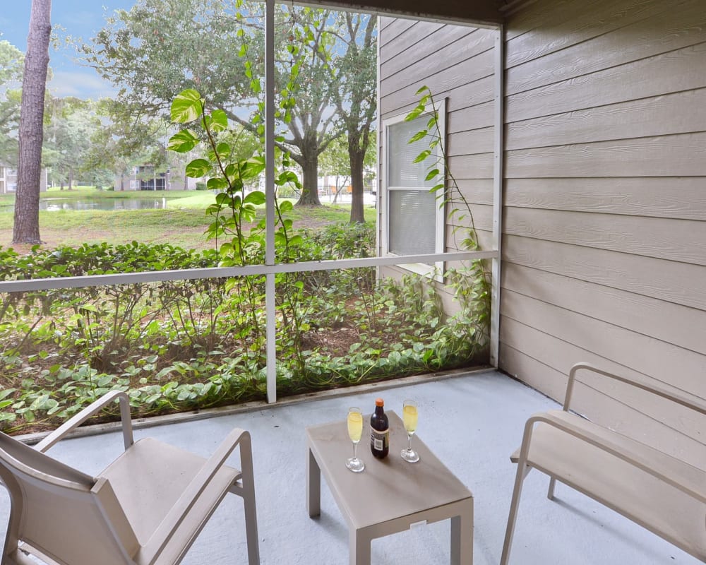 Private patio at Promenade Apartment Homes in Winter Garden, Florida