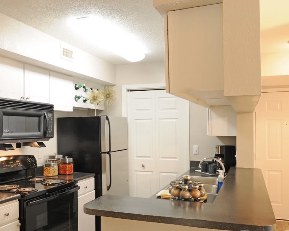 Fully equipped model kitchen with built-in microwave and double stainless steel sink at Hampton Greene Apartment Homes in Columbia, South Carolina