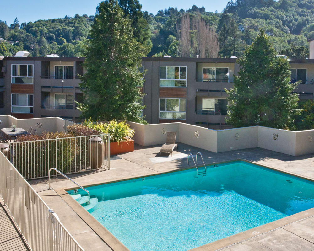 Pool area at Pineridge in Mill Valley, California