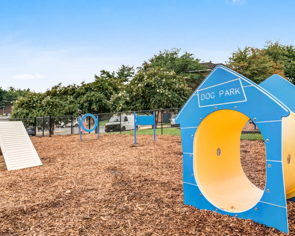Dog park with agility equipment at Avery Park Apartment Homes in Silver Spring, Maryland