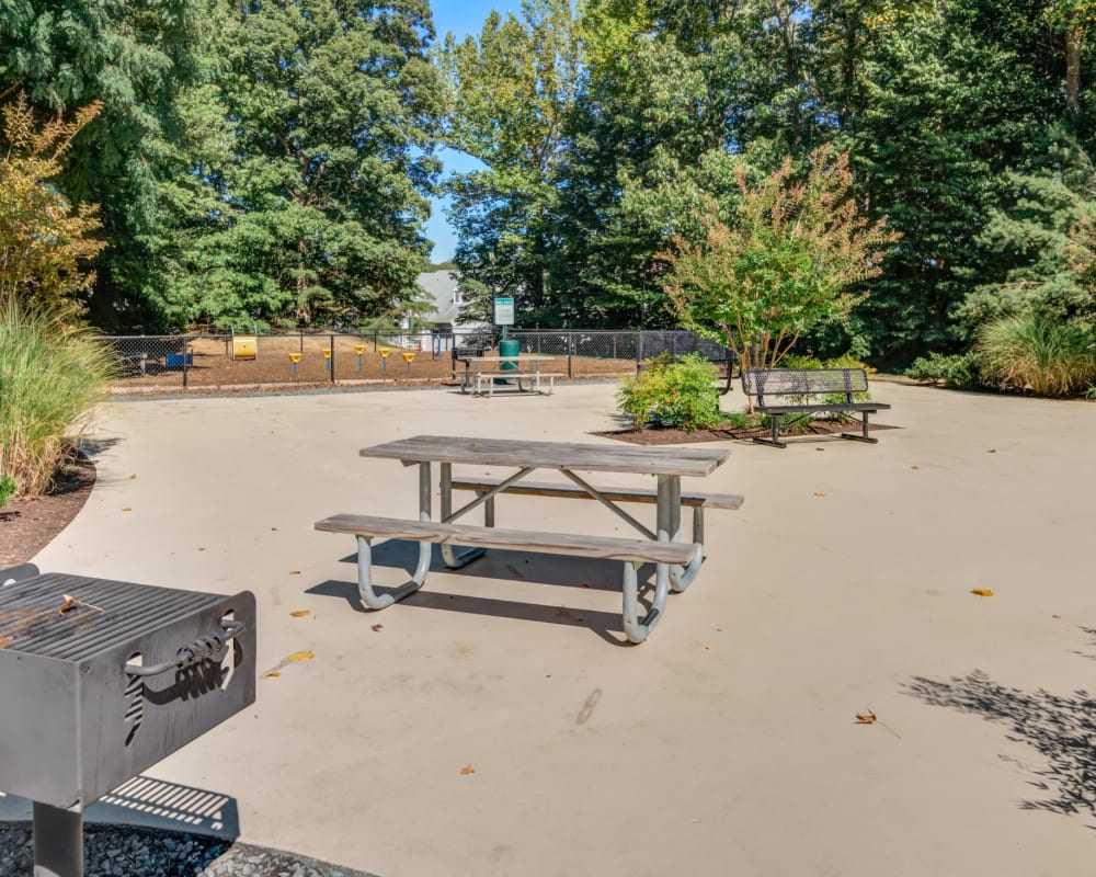 Grilling area at The Pointe at Stafford Apartment Homes in Stafford, Virginia