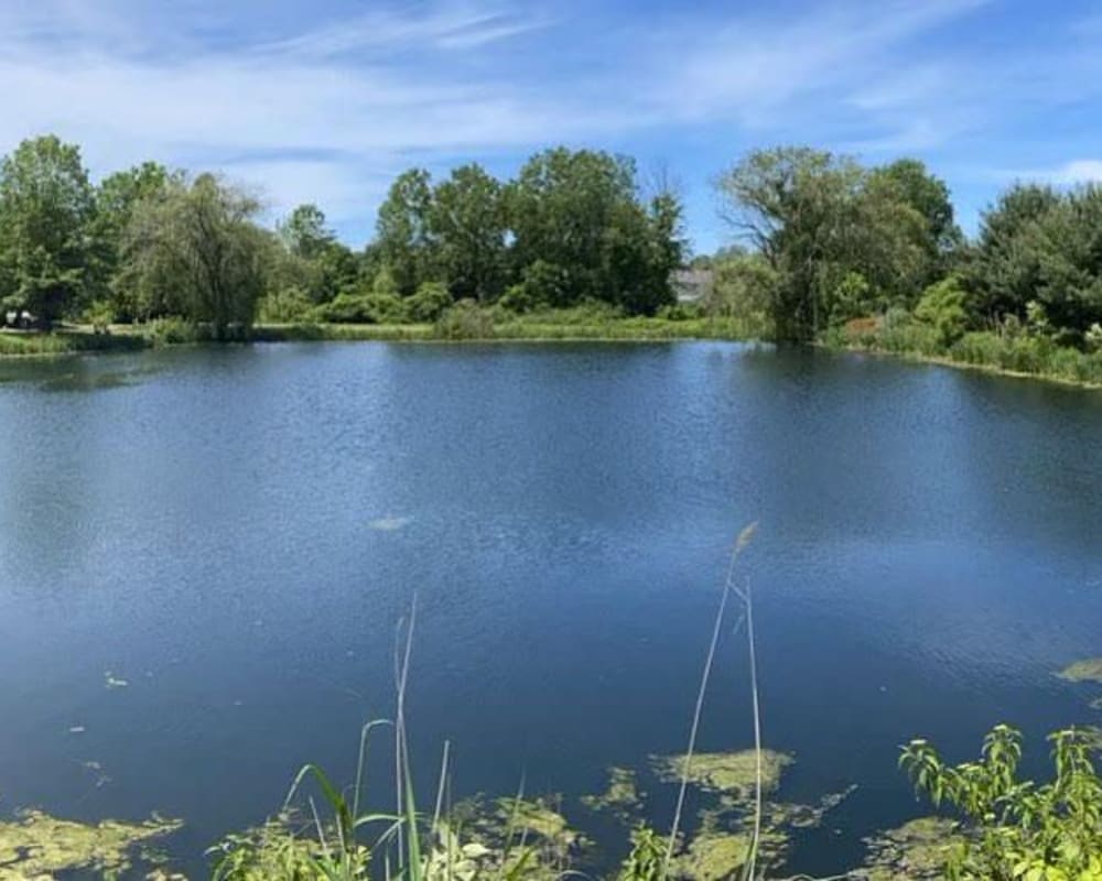 View of a lake at Fox Run in Willoughby, Ohio