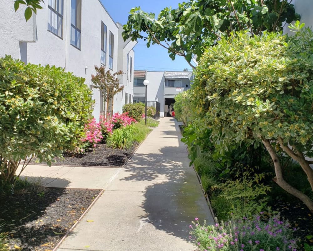 Walking path outside of St. Moritz Apartments in Concord, California